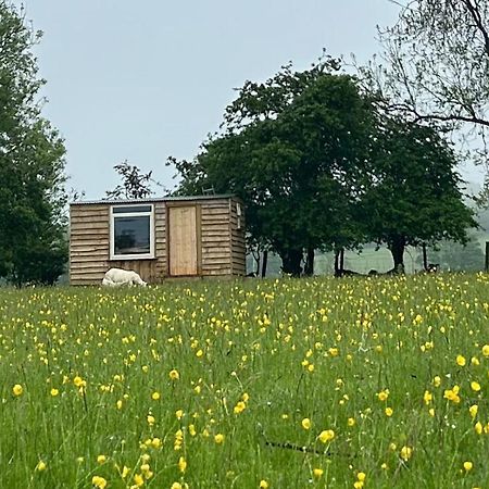 Off Grid Shepherds Hut Hotel Llansilin Bagian luar foto